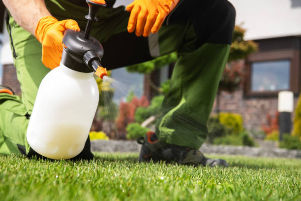 Best Pest Removal Services  in Lookout Mountain, GA